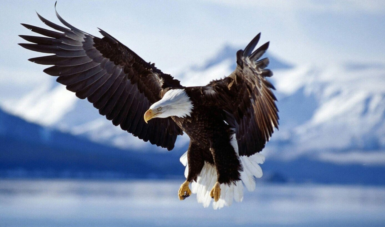 …HALLOM A HÍREKET,