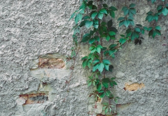 (AHOGY MÚLTAK A SZORÍTÁS…)