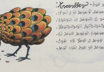 EGY ÖREGEMBER FELJEGYZÉSEI