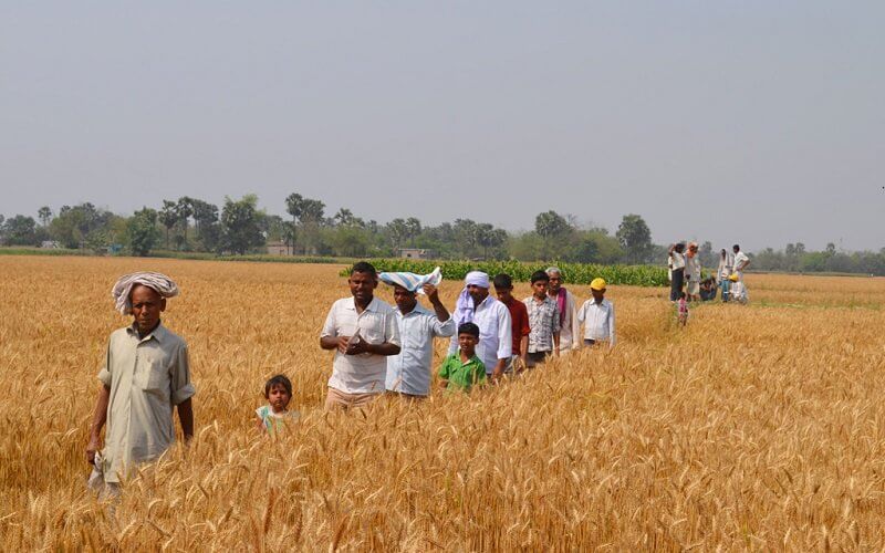 SOKFÉLESÉG ÉS SZABADSÁG