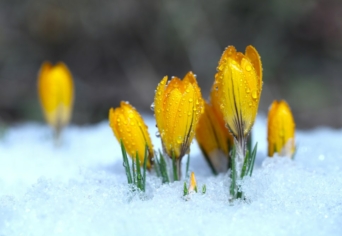 AZ ÚJ ÉVEZRED ELÉ