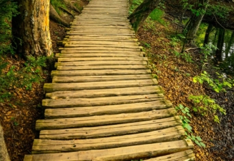 ÉRTEKEZÉS A CÉLRÓL