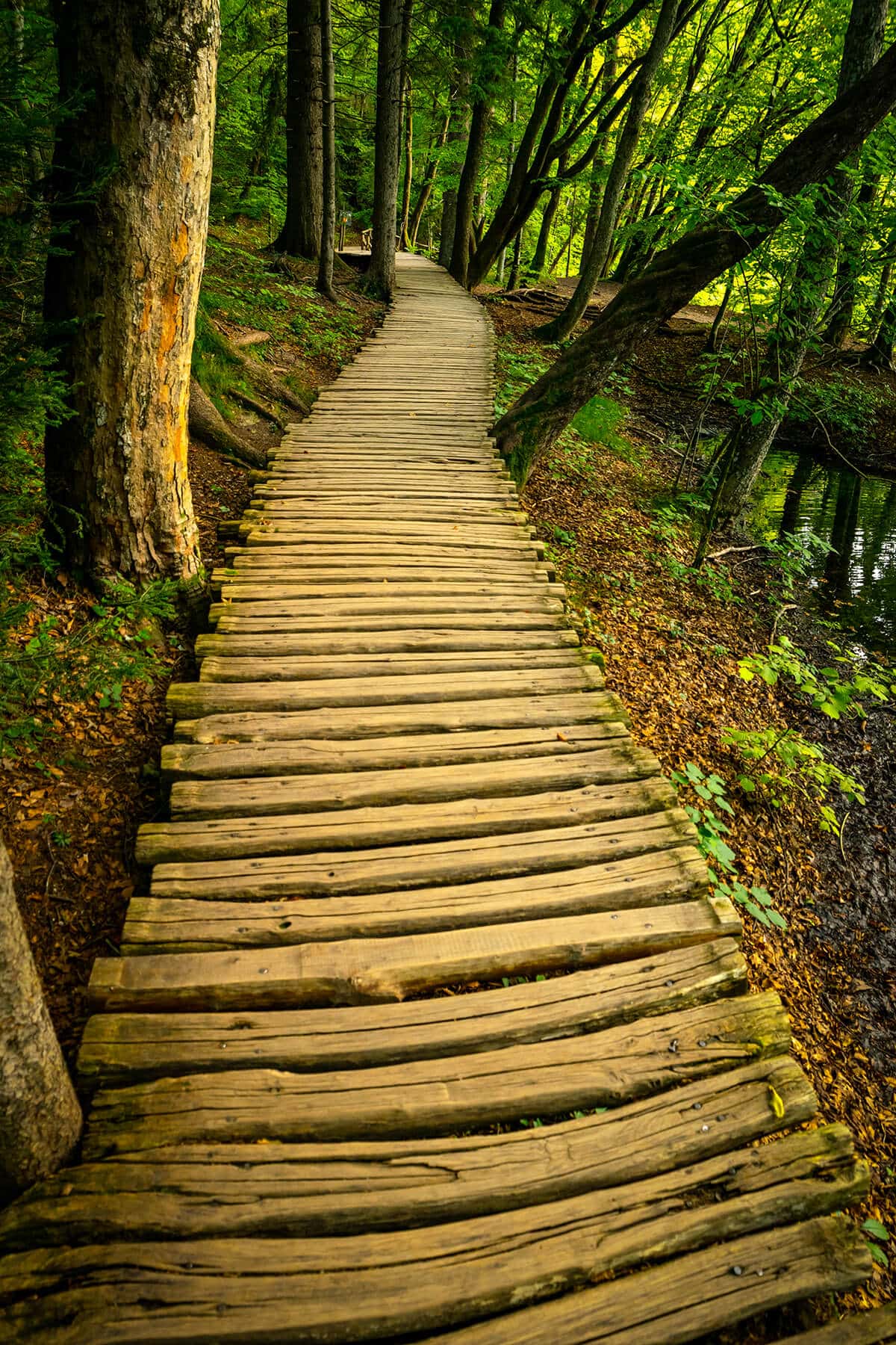 ÉRTEKEZÉS A CÉLRÓL