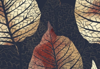 AZ ÖREGEMBER ÉS A KISFIÚ