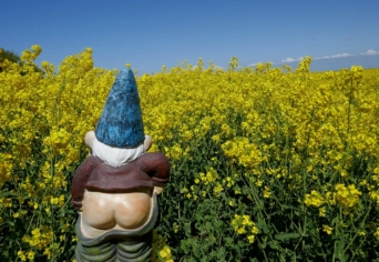 A KERTI TÖRPÉK JAJGATÁSA