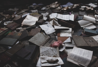 LOMTALANÍTÁS AZ ÁLOM UTCÁBAN