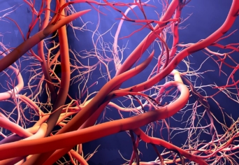 ELKOSZLOTT TARTALMAK