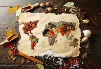 ALKOTÓI PÁLYÁZAT: IDEGEN