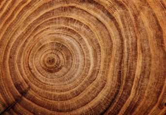 KAÁN KÁROLY ÖRÖKSÉGE