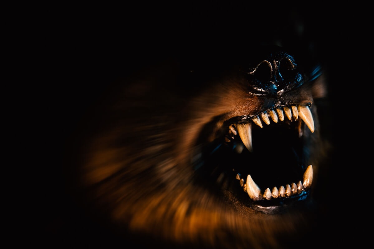 A BIOLÓGIAI GYÖKEREKTŐL A TEREMTÉS KORONÁJÁIG