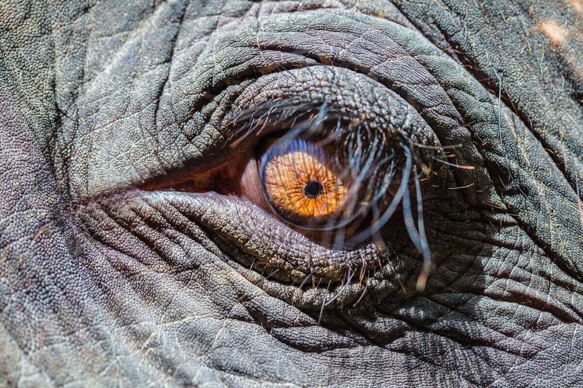 AZ ÖKOPOLITIKA ESÉLYEI