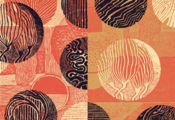 TÚLVILÁGOT TEREMTENI