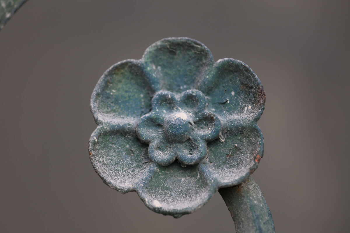 KÖZELÍTÉS A NYELVHEZ