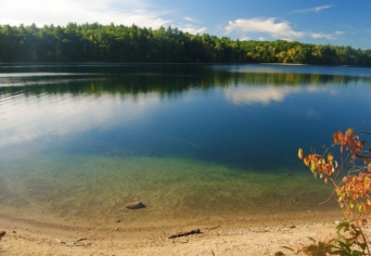 VALÓSÁGSZIMULÁTOR