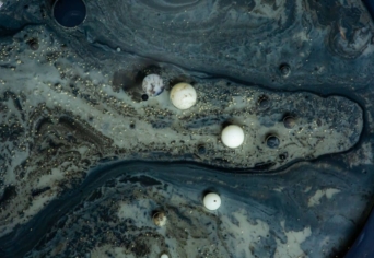 „SZÁLLÁST AKAR KÉRNI”