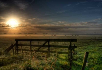 SPREEK JE NEDERLANDS