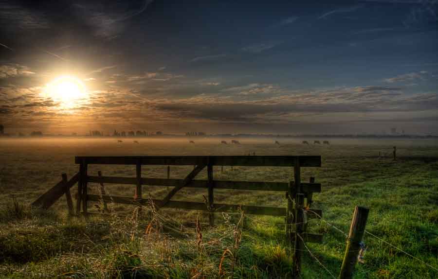 SPREEK JE NEDERLANDS