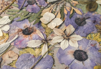 BOLOND ÉVEK BALLADÁJA