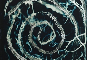 A HÉRAKLEITOSZI ÁLOM