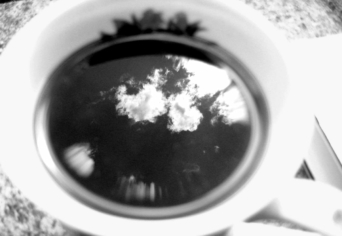 EGY DÉLUTÁN A KERTBEN