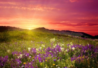 LEVÉL A VIRÁGOSNYEREGBŐL