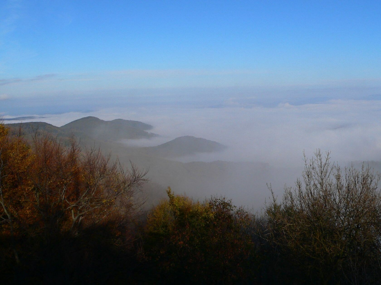 LEVÉL PILISSZENTKERESZTRŐL