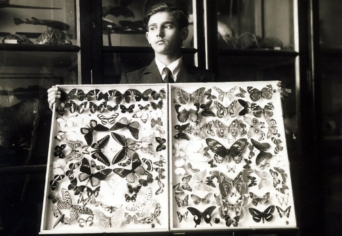 A GYŰJTŐDÉMON HALÁLA