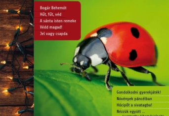 MEGJELENT A TÉLI SZITAKÖTŐ