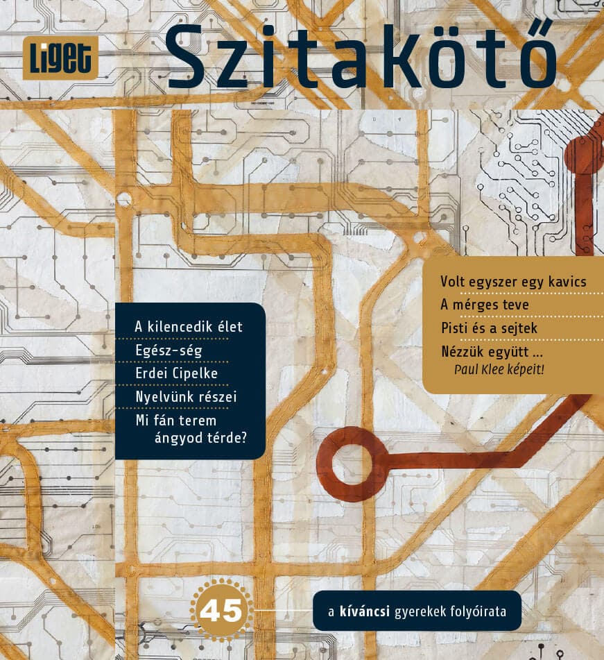 MEGJELENT A TAVASZI SZITAKÖTŐ