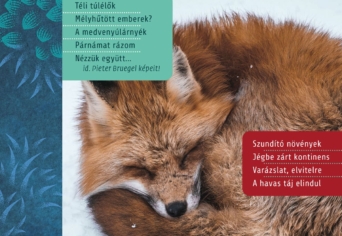 MEGJELENT A TÉLI SZITAKÖTŐ