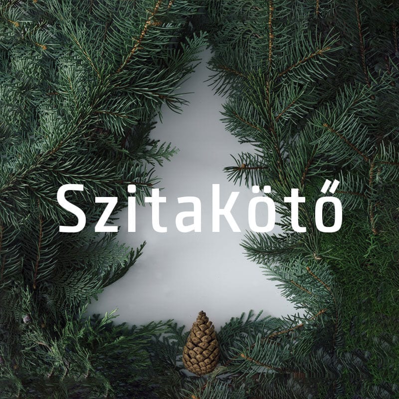 SZITAKÖTŐT KARÁCSONYRA