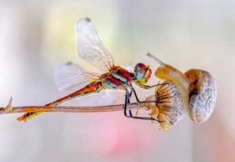 SZITAKÖTŐ OKTATÁSI PROGRAM 2019