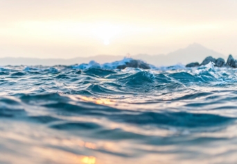 VÍZTESTBEN VÍZLÉLEK