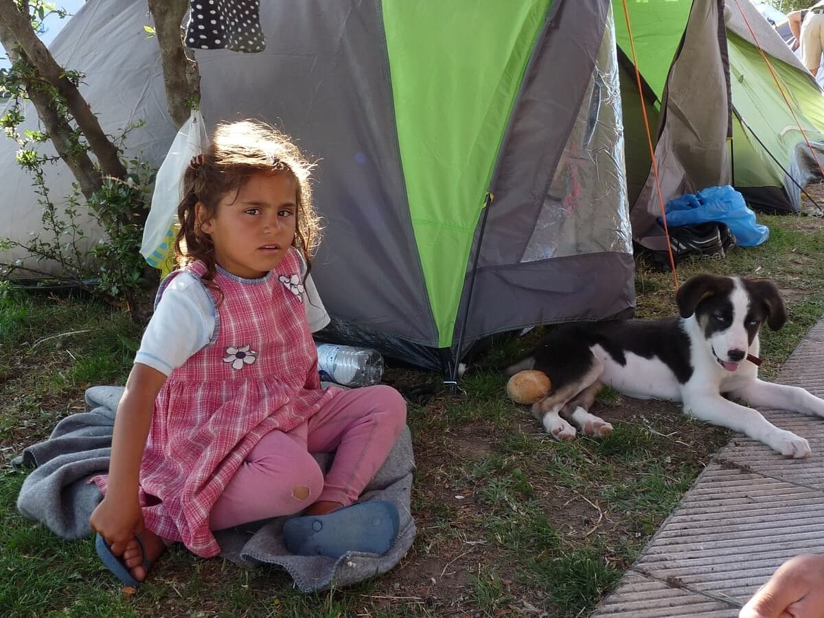 MIGRÁCIÓ, GLOBALIZÁCIÓ, NEMZETÁLLAM