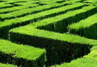 KIS CIKLIKUS: A RÍMNEK BŰVTANÁRÓL