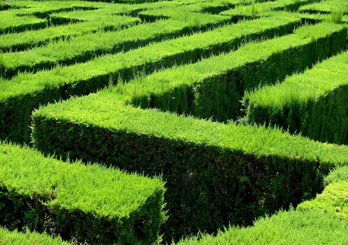 KIS CIKLIKUS: A RÍMNEK BŰVTANÁRÓL