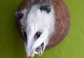 A BŐRÖNDHAL TITKOS REKESZE