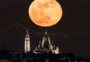 A HAZAFELÉ TÁMOLYGÓ NŐ