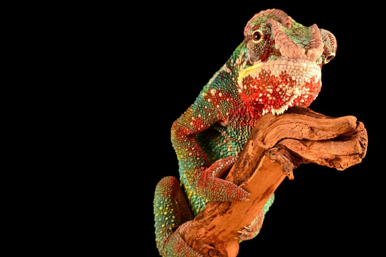 ALKOTÓI PÁLYÁZAT: VÁLTOZÁS