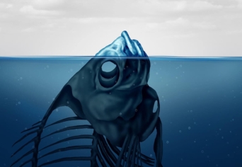 A VÍZRE ÍRT KÉPLET