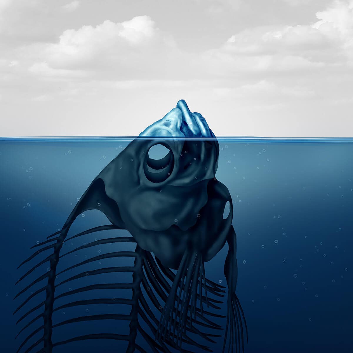 A VÍZRE ÍRT KÉPLET