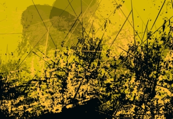 GOMBOSSZOKNYA, FÉNYKÉPEK, SZIGETEK