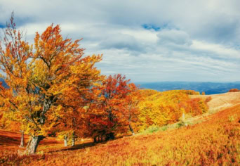 PAUL VERLAINE VERSÉRŐL