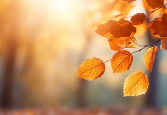 KÉT ŐSZI DAL SURA HÚGOMNAK