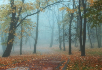 HAJNAL ANNA VERSÉRŐL