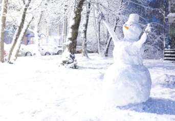 HÓBUCKÁK ÉS KÖNYVOLDALAK 