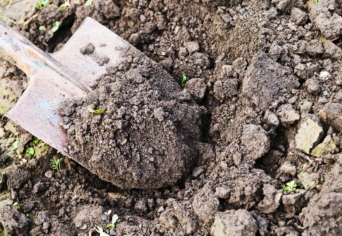 AKI MÁSNAK VERMET ÁS