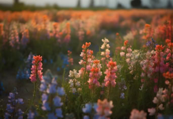 RÉSNYIRE ZÁRT SZEM 