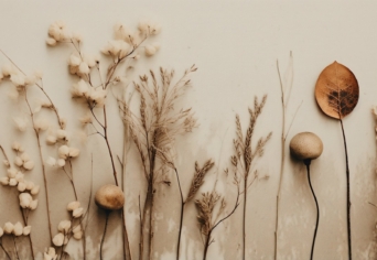 EGY MŰFAJ FELTÁMASZTÁSA 