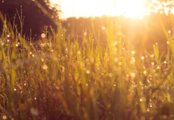 KOSZTOLÁNYI DEZSŐ VERSÉRŐL